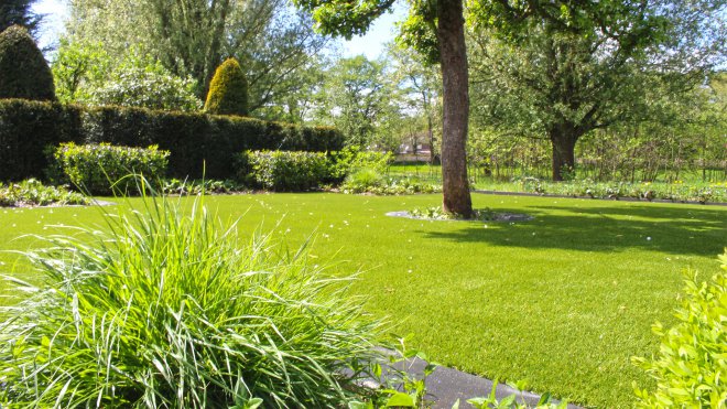 meadow-garden-lawn