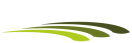 Artificial Grass Dorset